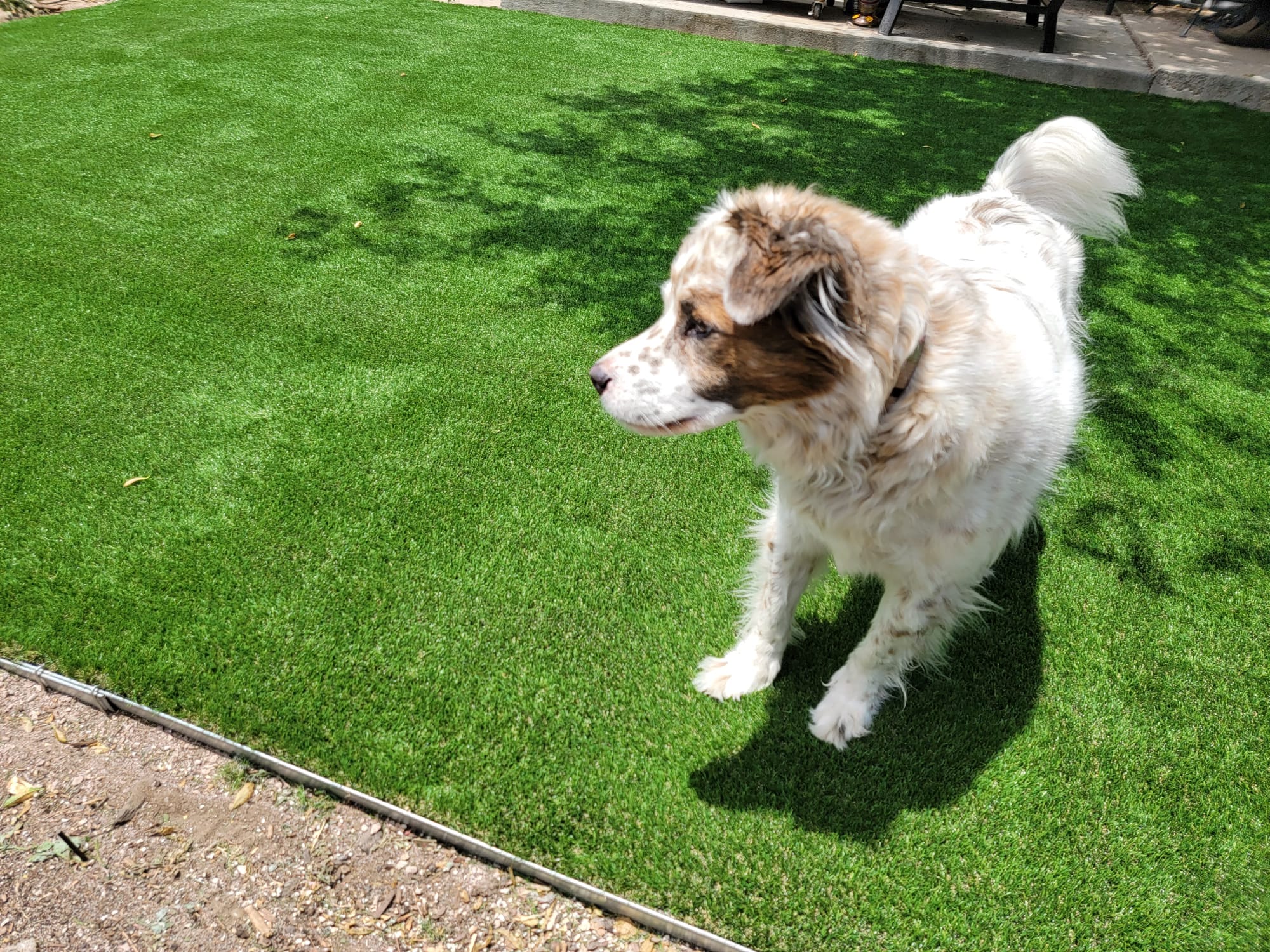 Artificial Turf For Pets